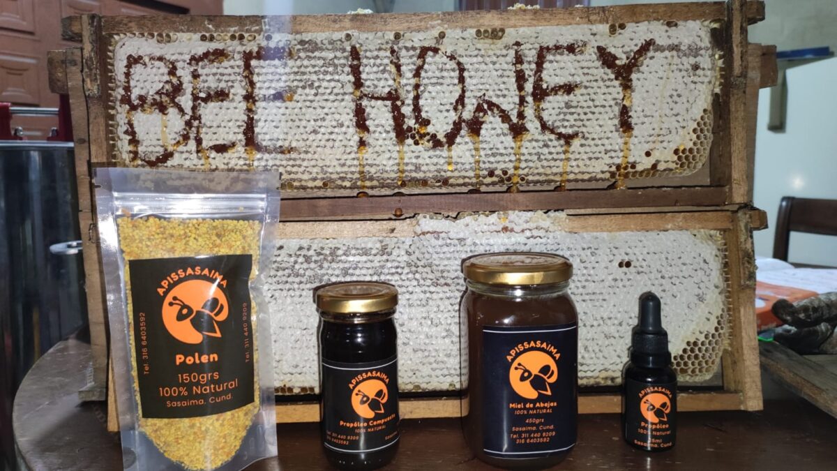 imagen de whatsapp 2025 10 22 a las 15.09.45 071dde62